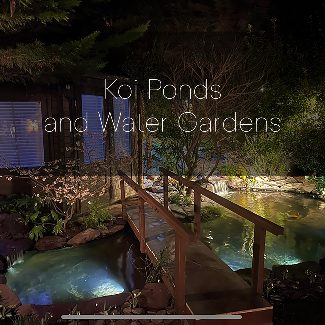 Koi ponds and water gardens