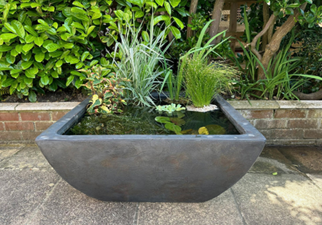 Patio Pond