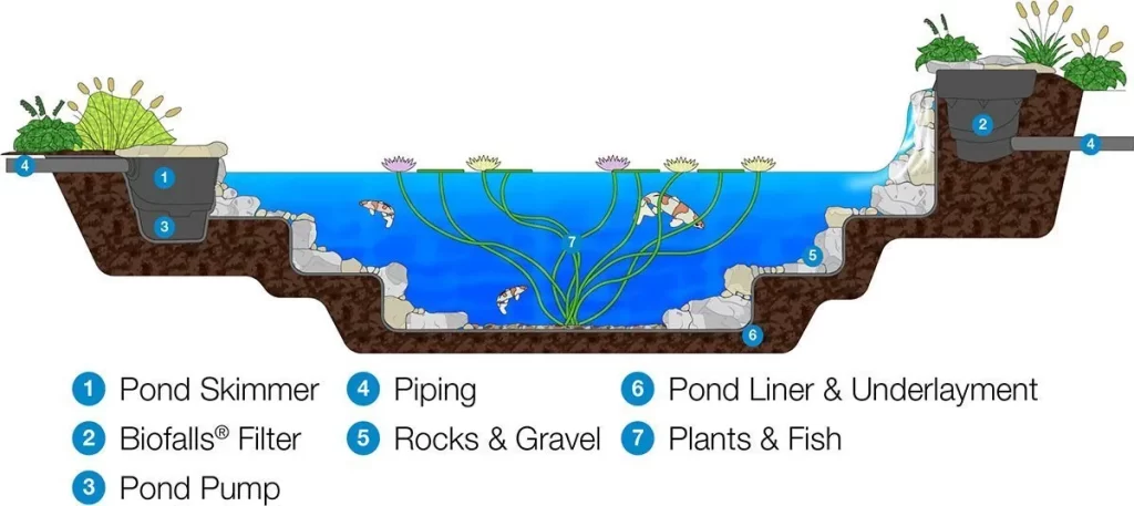 Ecosystem pond