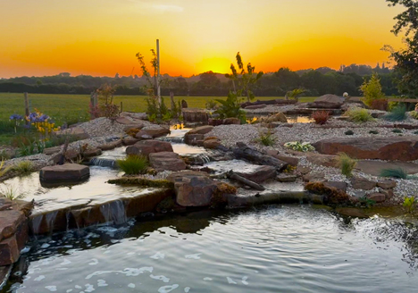 Aquascape ecosystem pond