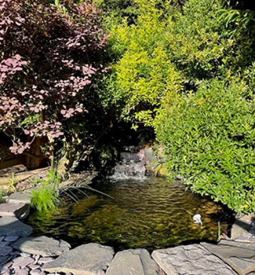 slate paddle stone pond