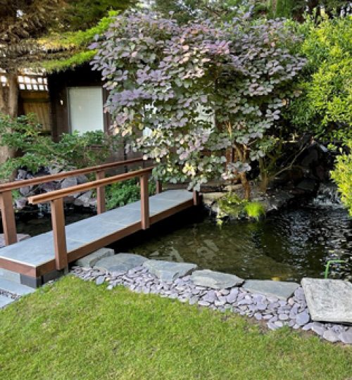 koi pond bridge