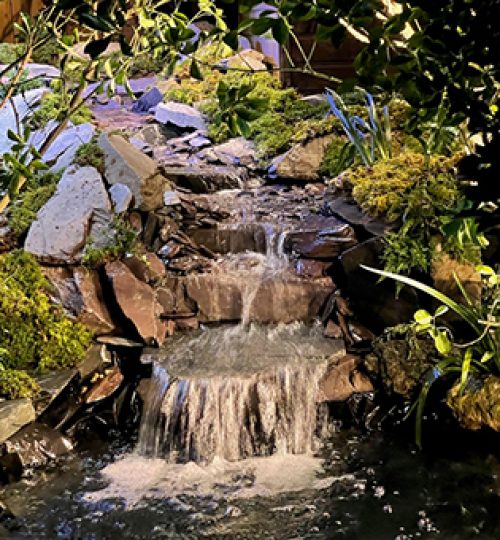 Planted Koi pond waterfall