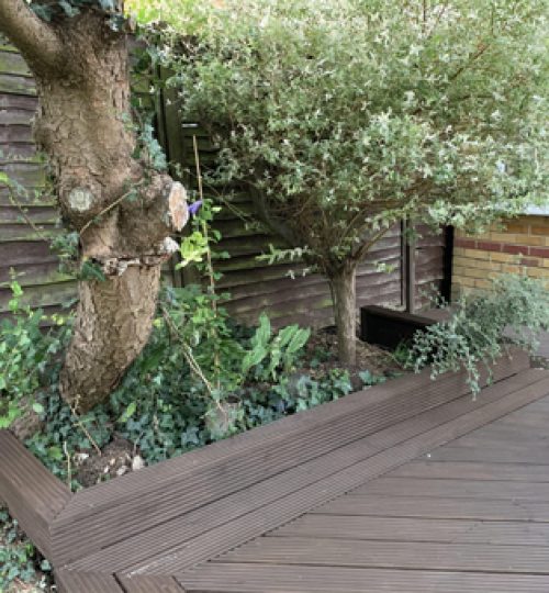 dark-oak-raised-bed